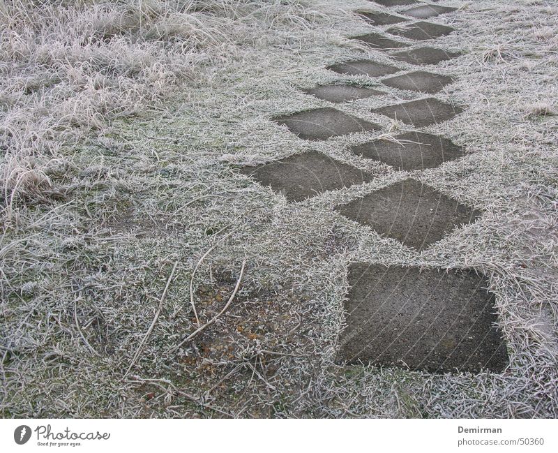 Der Weg ins... fremd Gras Winter kalt ungewiss Wiese Bürgersteig gehen Rätsel Wege & Pfade Frost anonym Einsamkeit Stein laufen walk run Bodenplatten