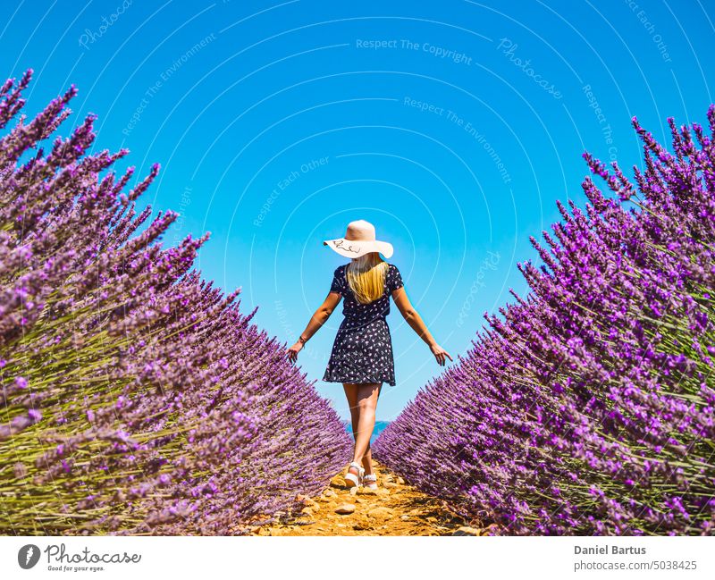 Nahaufnahme eines jungen Mädchens in einem geblümten Kleid mit einem Hut auf dem Kopf zwischen Lavendel in der südlichen Provence Valensole Frankreich schön