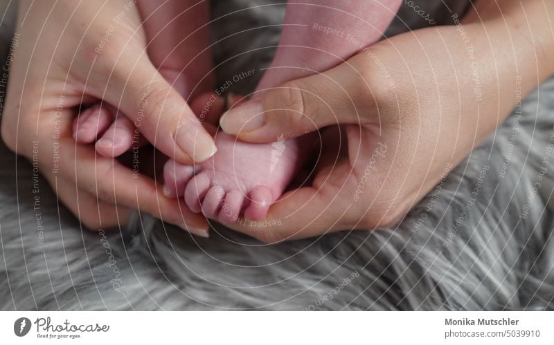 kleine Füsschen Baby Kind Fuß Zehen Barfuß Kindheit liegen 0-12 Monate niedlich Nahaufnahme Detailaufnahme Haut Beine Mensch Farbfoto Innenaufnahme Glück Leben