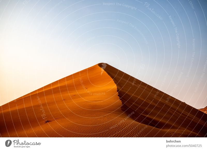 orte, die etwas bedeuten | ort der stille Schatten Licht Sossusvlei Außenaufnahme Namibia Ferne Afrika Wüste Sand dune 45 Sesriem Fernweh Sehnsucht reisen