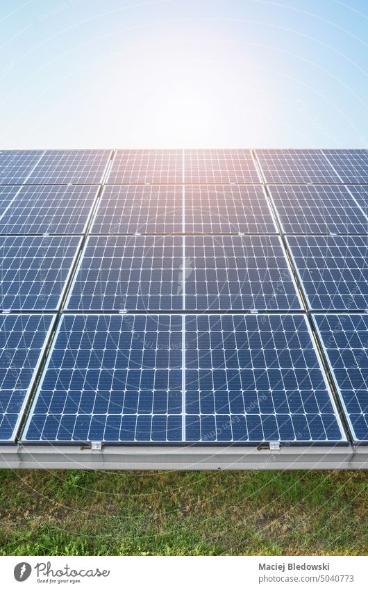 Bild von Photovoltaikmodulen im Sonnenlicht. pv Solarzellenpanel Energie elektrisches Solarpanel Modul solar Panel RES Ökostrom Himmel Foto grün regenerativ