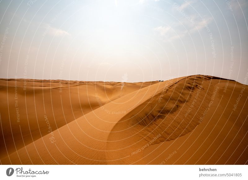 sanftheit Sanddüne Dunes beeindruckend magisch Düne traumhaft Swakopmund Walvisbay Wärme Himmel Ferien & Urlaub & Reisen Natur Einsamkeit Landschaft Abenteuer