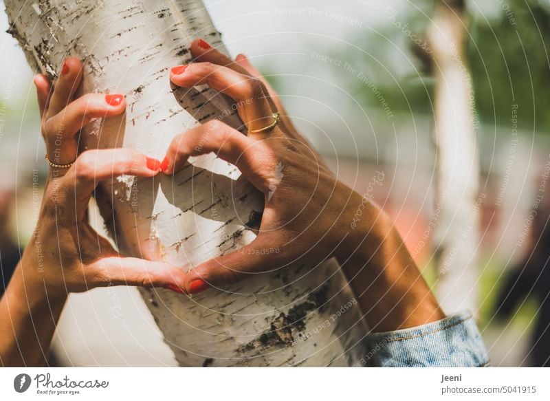 [Hansa BER 2022] Herzdame herzförmig Hand Frau Hände Zeichen Geste Symbole & Metaphern Liebesbekundung Birke Liebeserklärung Gefühle herzlich Sympathie