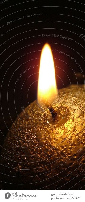 Güldenes Lischtschen Licht Kerze Physik gemütlich Wachs Kerzenschein erleuchten gold Weihnachten & Advent Wärme candle Kerzendocht candlelight