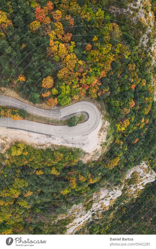 Luftaufnahme einer kurvenreichen Straße von einem hohen Gebirgspass durch einen dichten bunten Herbstwald. Abenteuer Antenne Asphalt Herbstlandschaft