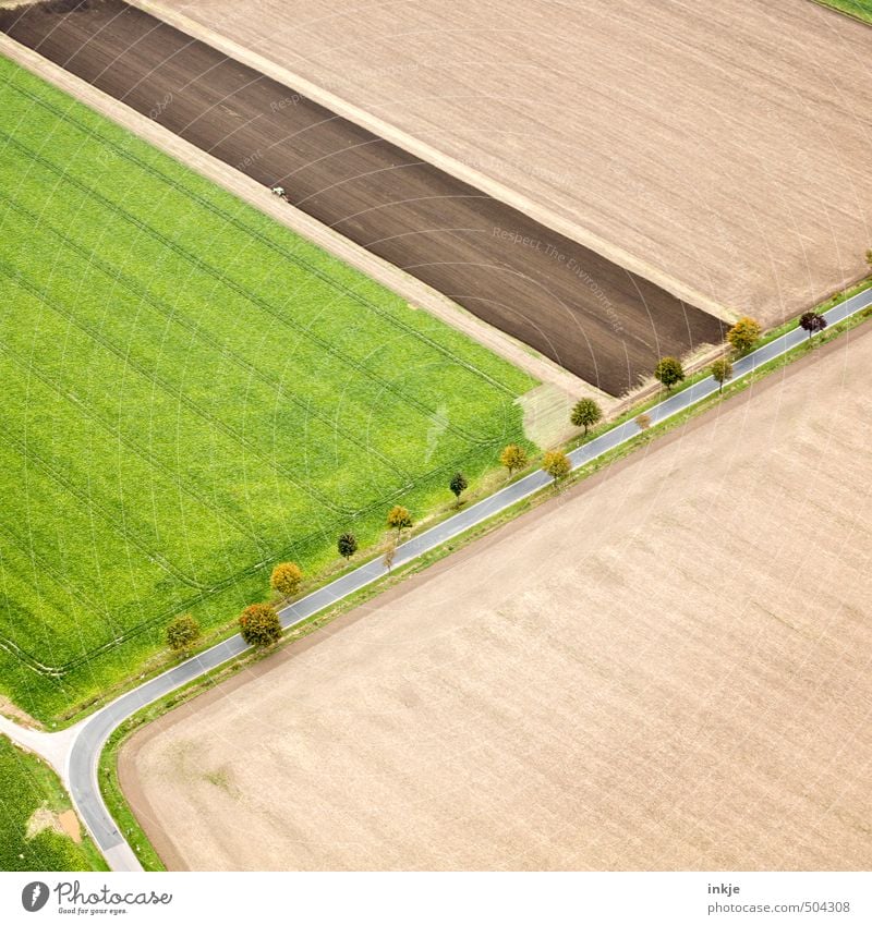 oben links wird gearbeitet Landwirtschaft Forstwirtschaft Ackerbau Umwelt Landschaft Erde Sommer Herbst Baum Feld Stadtrand Menschenleer Verkehr Verkehrswege