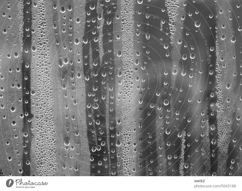 Sonatenhauptsatz Fenster Schaufenster Wasser Wassertropfen viele Glas nass Fensterscheibe Regen Menschenleer Schwarzweißfoto Strukturen & Formen abstrakt