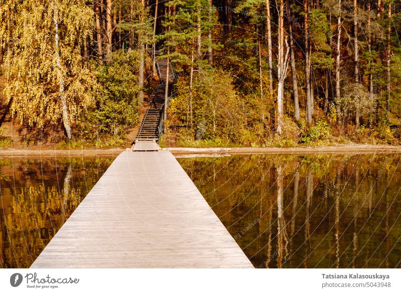 Holzsteg, Herbstwald und Holztreppe zu einem Hügel am See Baltieji Lakajai im Regionalpark Labanoras, Litauen Landschaft szenische Darstellungen Natur Pier Baum
