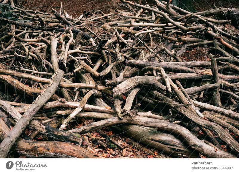 Gesammeltes Totholz auf einem Haufen erinnert an Knochen Holz gehäuft unheimlich Gewimmel verwirrend abgestorben Wald Forstwirtschaft Waldsterben Brennholz