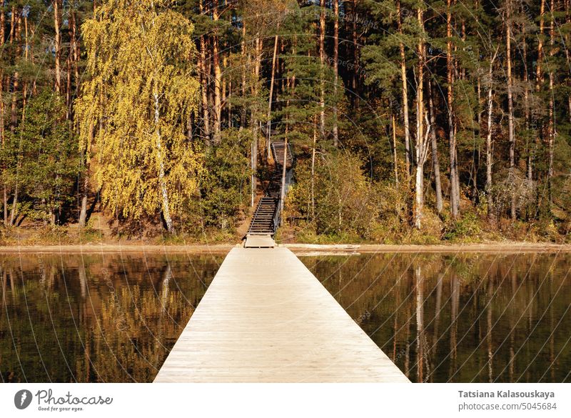 Weiter Blickwinkel vom Baltieji Lakajai Pier im Labanoras Regional Park, der zu einer Holztreppe im Herbstwald führt Landschaft See szenische Darstellungen