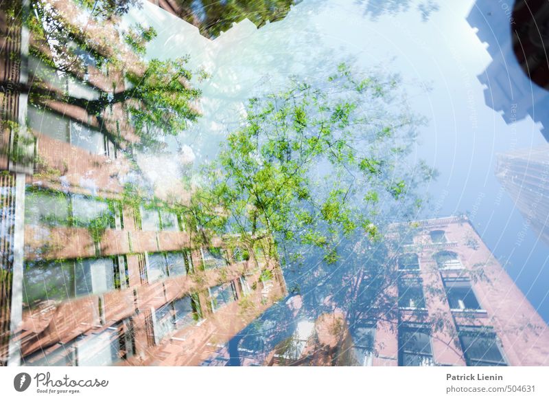 Revisit | 8 Umwelt Natur Urelemente Himmel Wetter Pflanze Baum Wald Stadt Haus Hochhaus Bauwerk Gebäude chaotisch einzigartig Freizeit & Hobby geheimnisvoll