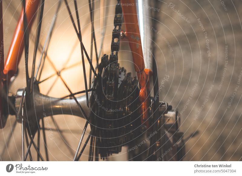 Detailansicht eines Rennrades Rad Fahrrad Leeze umweltfreundlich Bewegung nachhaltig ökologischer Fußabdruck Fahrradfahren Verkehrsmittel Mobilität Drahtesel