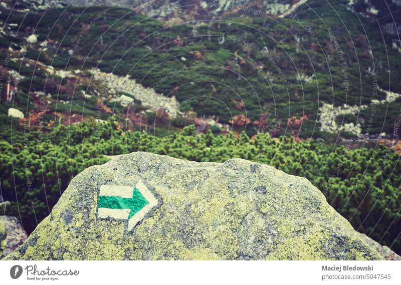 Auf einen Felsen gemalter Pfeil zur Markierung des Weges, Farbabstufung, selektiver Fokus. Berge u. Gebirge Nachlauf Wanderung Abenteuer Zeichen getönt Herbst