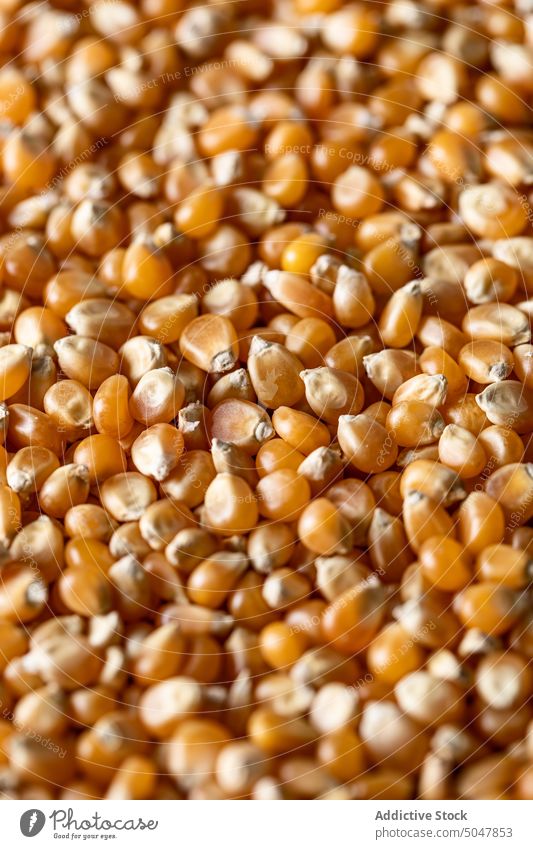 Haufen von verschütteten Maiskörnern Samen Korn Gemüse Lebensmittel roh Hintergrund Kernel Streuung Ernährung natürlich Bestandteil frisch gelb Gesundheit