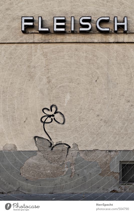 Fleischblume Wien Altstadt Haus Gebäude Mauer Wand Fassade Schriftzeichen Graffiti alt kaputt trashig trist Stadt braun grau Blume Metzgerei Putz Leuchtreklame