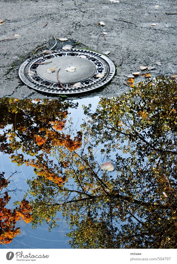 Herbst in der Pfütze Umwelt Natur Baum Stadt Straße Gully gebrauchen gehen stehen nass rund blau grau grün orange friedlich Trägheit Beginn Zufriedenheit