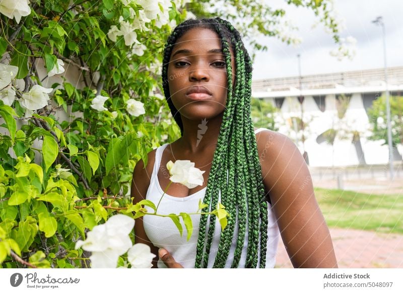Junge ruhige schwarze Frau im Sommergarten Porträt lässig sorgenfrei Frisur Stil Pflanze Geflecht ethnisch ernst Afroamerikaner geflochtenes Haar Vorschein Wand