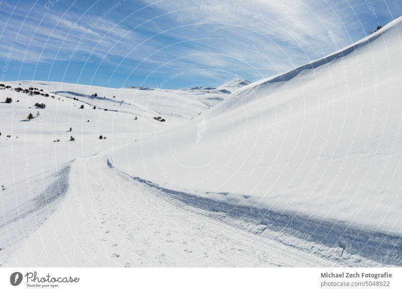 Winterwunderland in den Alpen Schnee Landschaft Schweiz Urlaub reisen Berge u. Gebirge Himmel Wald Eis Natur Ski Saison im Freien Wunderland Frost verschneite