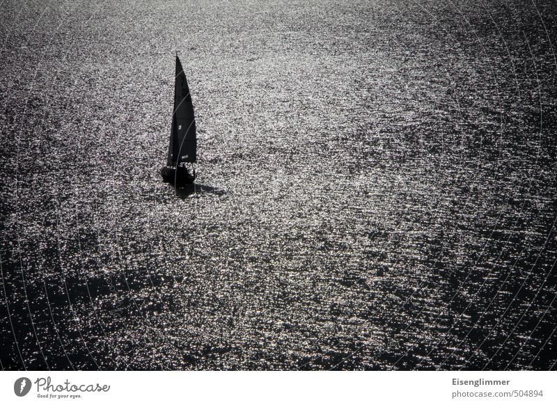 Sommersegler Lifestyle Freizeit & Hobby Segeln Wasser Sonne Sonnenlicht Herbst Fjord Ostsee Segelboot Unendlichkeit Meer Schwarzweißfoto Außenaufnahme