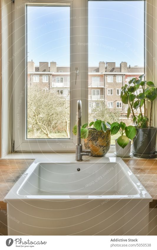Keramikspüle mit Wasserhahn in der Küche Waschbecken Abfertigungsschalter Fenster Hygiene modern eingetopft Pflanzen Vorrichtung Appartement Stil Flasche Seife
