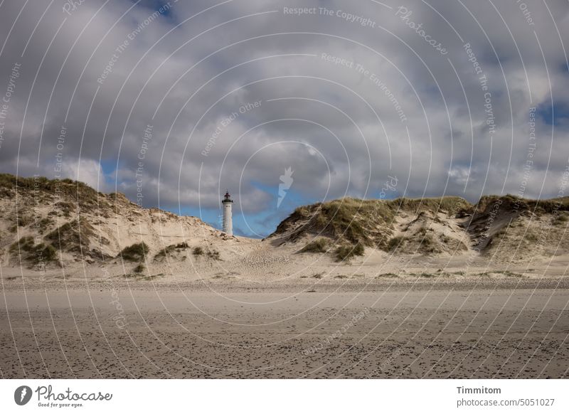 Da hinten steht ein Türmchen Leuchtturm Himmel Wolken Dünen Dünengras Strand Sand Nordsee Dänemark Natur Ferien & Urlaub & Reisen Küste Menschenleer Lyngvig Fyr