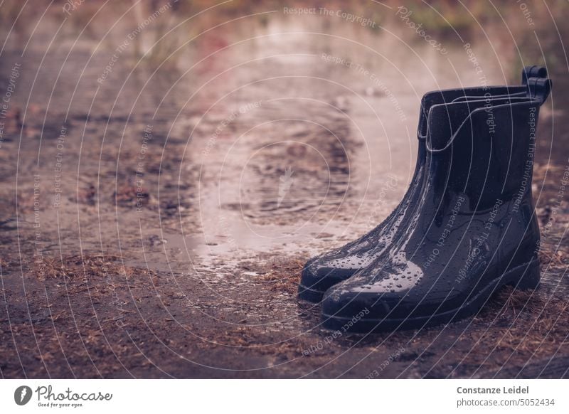 Glänzende Gummistiefel im Regen vor einer Pfütze- Regentropfen nass schlechtes Wetter Wasser Wassertropfen Reflexion & Spiegelung Tropfen glänzend