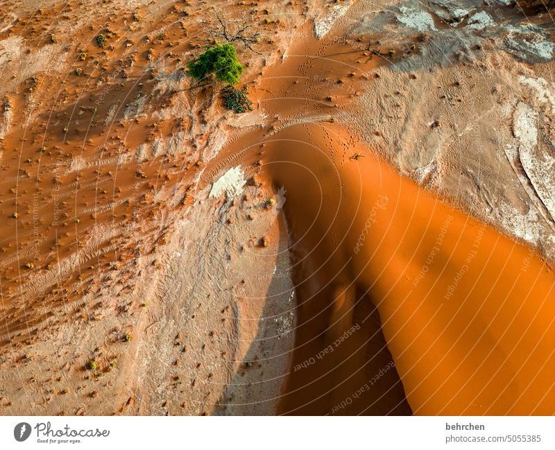 wunderwelt Schatten Licht Sossusvlei Außenaufnahme Vogelperspektive von oben Drohne Sesriem dune 45 Sand Wüste Afrika Namibia Ferne Fernweh Sehnsucht reisen