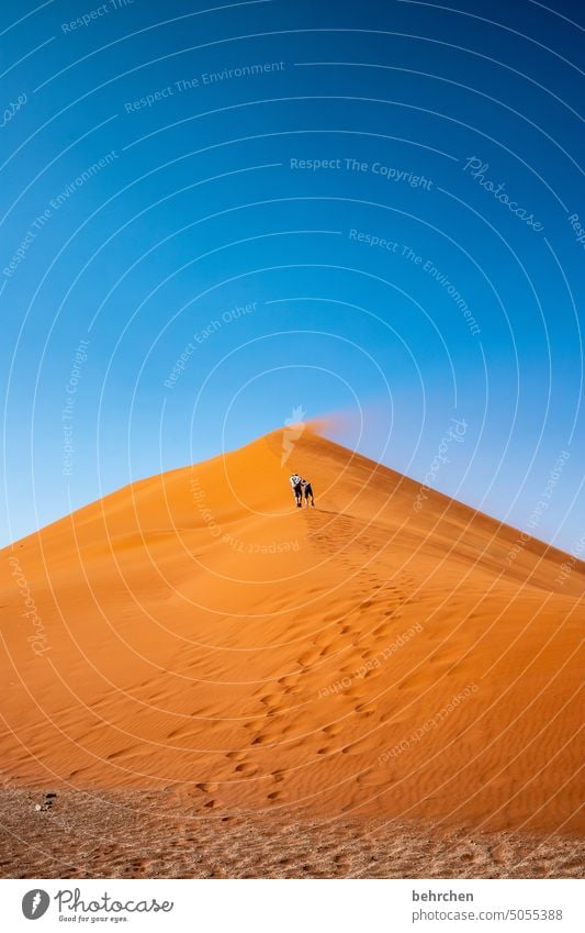 spuren | vom winde verweht Düne 45 Sandsturm Sossusvlei Namibia Ferne Afrika Wüste dune 45 Sesriem Fernweh reisen Farbfoto Landschaft Einsamkeit