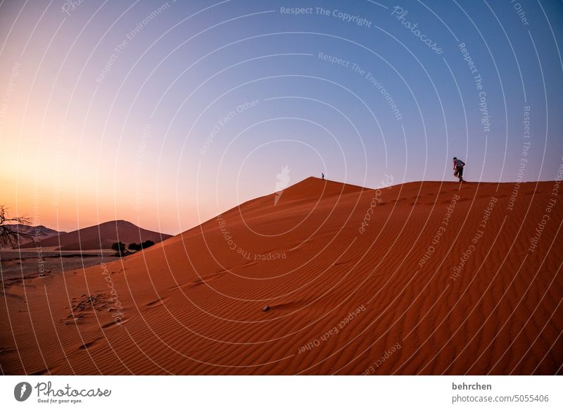 wenn der tag die nacht sanft umarmt stille beeindruckend sanddüne Sesriem Sonnenaufgang Natur romantisch Morgendämmerung Freiheit besonders Ferne Namibia