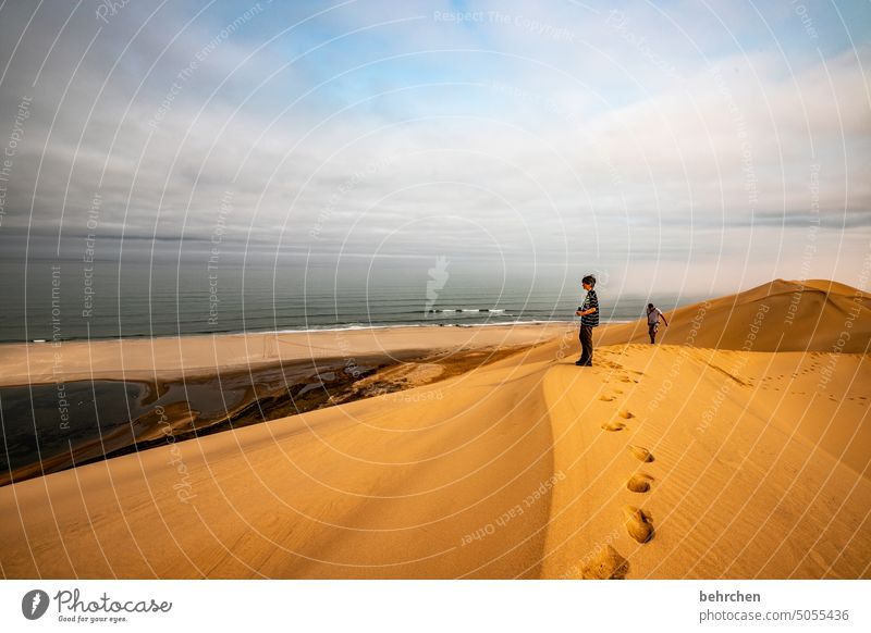 spuren | auf sand laufen Spuren Namibia Afrika Wüste Sand Meer Ozean weite Ferne Fernweh Sehnsucht reisen Farbfoto Landschaft Ferien & Urlaub & Reisen Natur