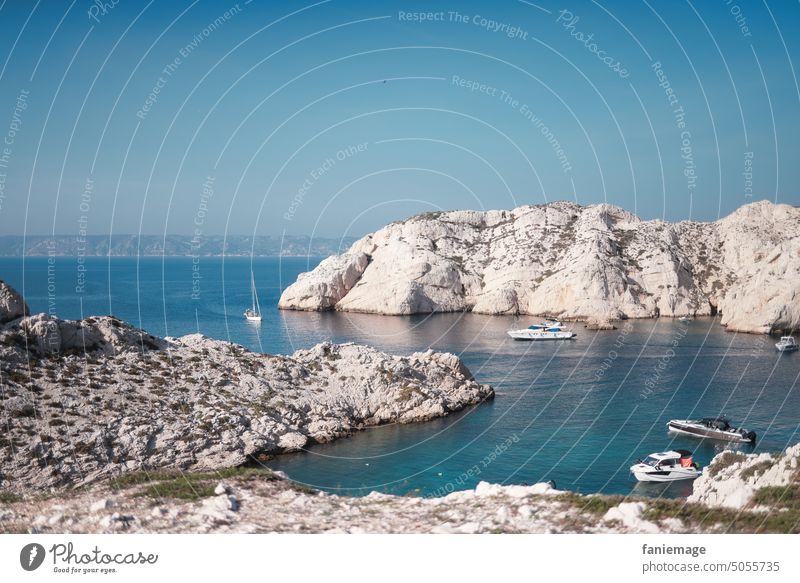 Îles du Frioul II Insel Bucht Marseille Mittelmeer Mediterran Sonne Sommer Segelschiff Segeln Segelbootwasser Meer Hitze Wärme Landschaft Felsen Außenaufnahme