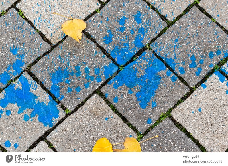 Blaue Farbflecken zwischen 3 gelben Blättern auf grauen Gehwegplatten Farbklekse blaue Farbe Gehwegsteine gelbe Blätter herbstlich Pappelblätter bunt mehrfarbig
