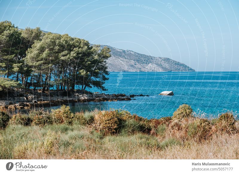 schöne felsige Strandküste mit Bäumen adriatisch blau Küste Europa Landschaft Natur im Freien Felsen malerisch MEER Himmel Sommer sonnig Tourismus reisen
