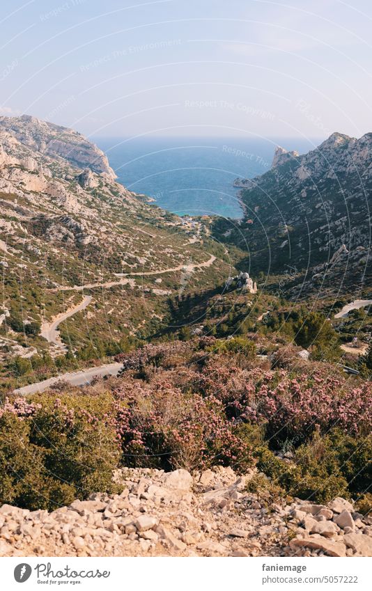 Der Weg zur Calanque de Sormiou Marseille Calanques Provence Meer Mittelmeer Wärme Pfad Panorama Landschaft Natur Wanderweg Wanderung Tal Heide Kalkstein