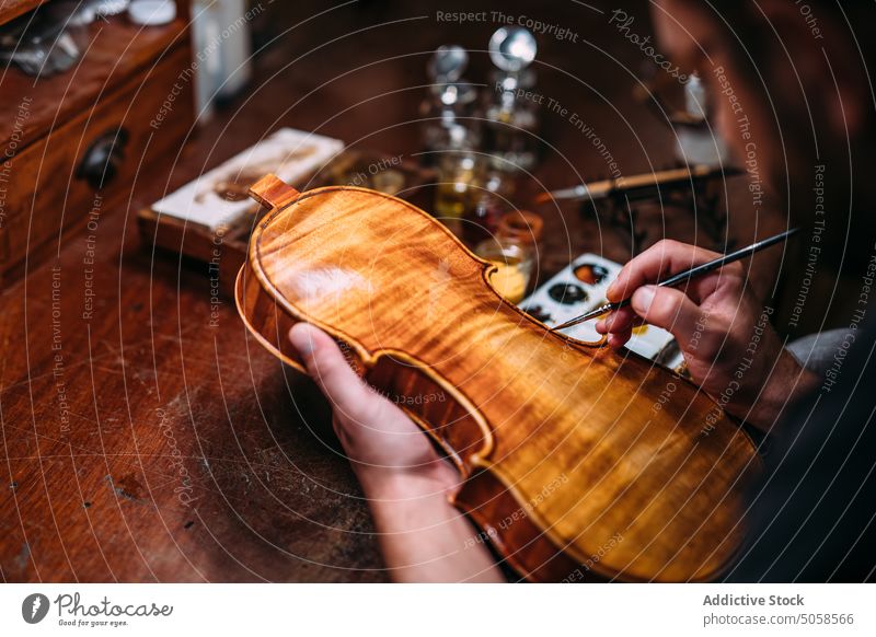 Geigenbauer beim Lackieren einer Geige in der Werkstatt Kunsthandwerker Firnis Zupfinstrumentenmacher polnisch Kunstgewerbler Meister professionell hölzern