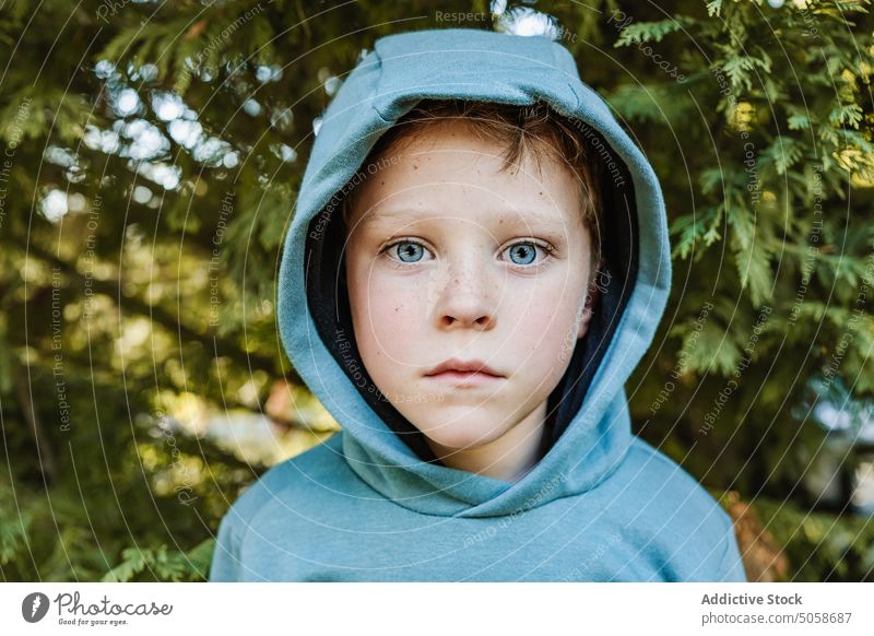 Emotionsloses Kind im Kapuzenpulli im Wald Junge erstaunt Porträt Baum Kopf Menschliches Gesicht Park nadelhaltig Wunder expressiv Starrer Blick Natur