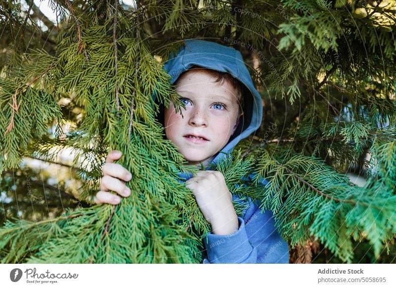 Verängstigtes Kind in der Nähe eines Nadelbaums Junge erschrecken Tierhaut Panik ängstlich Baum Wald Ärger Wälder Schock Anspannung Ast Problematik nadelhaltig