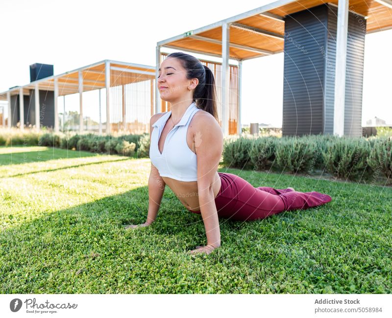 Junge Frau in Kobra-Pose auf Gras Athlet Lächeln Dehnung Yoga üben Gesunder Lebensstil Wiese Asana Natur Sportlerin jung Rasen bhujangasana Pferdeschwanz