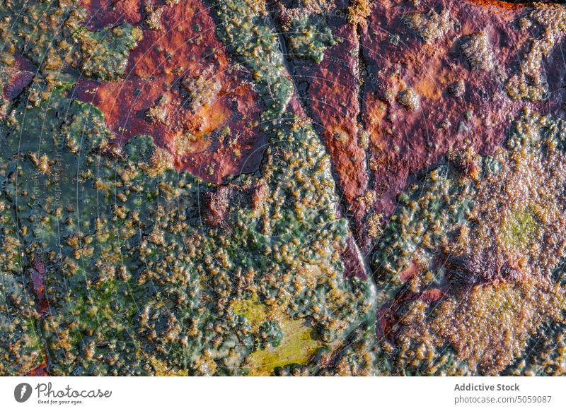 Moosiger Felsen am Meeresufer Stein Deckung rau Klippe Formation Sommer uneben Oberfläche Alkolea-Strand mutriku gipuzkoa Spanien Natur natürlich