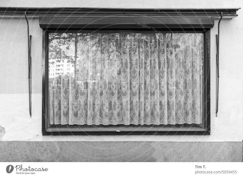 Fenster mit Gardine Berlin s/w wedding Herbst Schwarzweißfoto Menschenleer Architektur Tag Außenaufnahme Stadt Hauptstadt Stadtzentrum Gebäude Bauwerk Haus