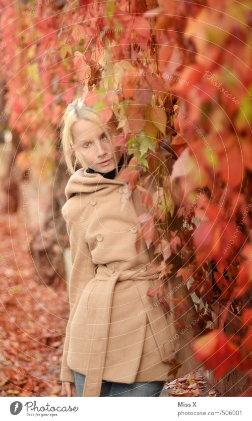 Roter Wein Mensch feminin Frau Erwachsene 1 18-30 Jahre Jugendliche Herbst Blatt Mode Mantel Haare & Frisuren blond schön rot Gefühle Stimmung Romantik Natur