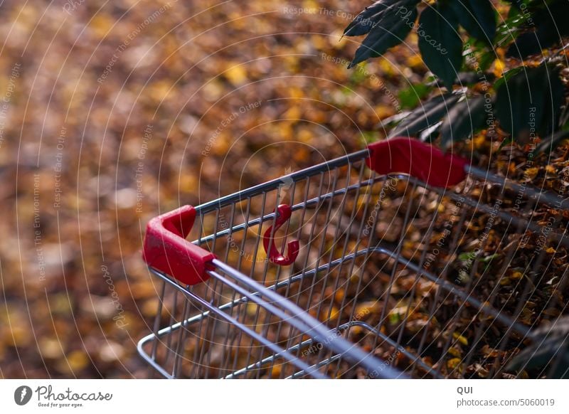 Einkaufswagen... Herbst-Shopping in der Natur rot silber Metall vergessen abgestellt achtlos Bokeh herbstlich Herbstlaub Blätter Herbstfärbung Herbststimmung