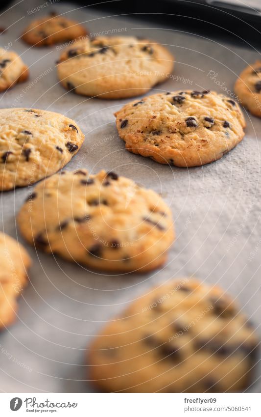 Selbstgebackene Kekse auf einem Backblech Cookies selbstgemacht Gluten glutenfrei Schokolade Chips Lebensmittel Biografie Veganer Gesundheit Leckerbissen