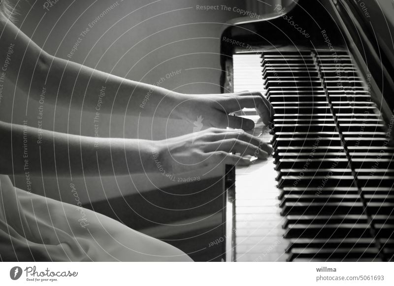 Die Klavierspielerin Pianistin Klavier spielen Hände Arme Musik musizieren Person weiblich Musikinstrument Tasteninstrumente Klassik Konzert Musiker üben