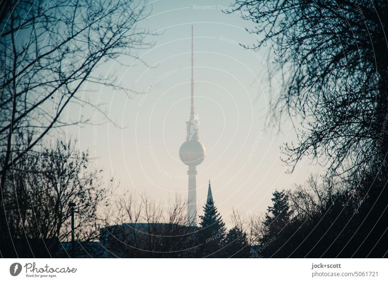 Fernsehturm eingerahmt zwischen kahlen Ästen und Zweigen Berliner Fernsehturm Wahrzeichen Silhouette kahle Bäume Hauptstadt Rahmen Hintergrundbild