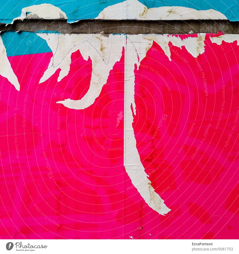 plakativ Plakat Farbe defekt abgerissen Wort Schriftzeichen Buchstaben Wand Typographie Fassade Zeichen Mauer Straßenkunst rot blau Linie Spalt Papier