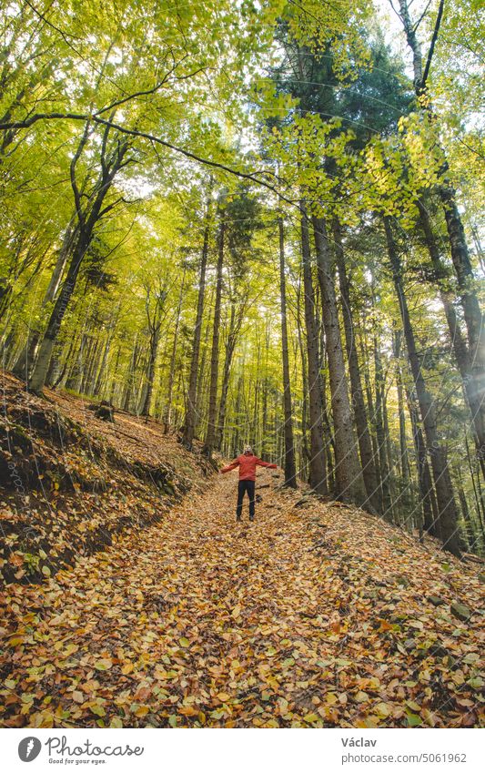 Spaziergang an der frischen Luft im bunten Herbstwald in den Beskiden, Tschechische Republik. Wandern Lebensstil. Glücklicher Wanderer in wilder Herbstnatur. Oktober
