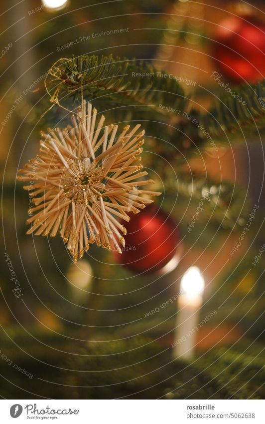 Strohstern am Weihnachtsbaum (2) Weihnachten Deko Dekoration Weihnachten & Advent Baum Christbaum Christbaumschmuck Licht leuchten Stern Tanne Tannenbaum