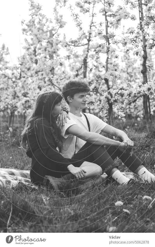 Schönes junges Paar erklärt seine Zuneigung, Zweisamkeit und Liebe in einer blühenden Apfelplantage mit einem Lächeln auf dem Gesicht. Echtes Paar in schwarz-weiß