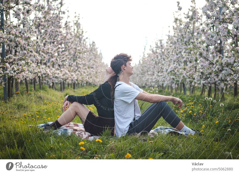 Ein schönes junges Paar erklärt seine Zuneigung, Zweisamkeit und Liebe in einem blühenden Apfelgarten mit einem Lächeln auf dem Gesicht. Echtes Paar